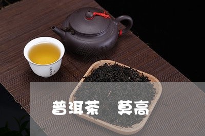 普洱茶 莫高/2023042773521